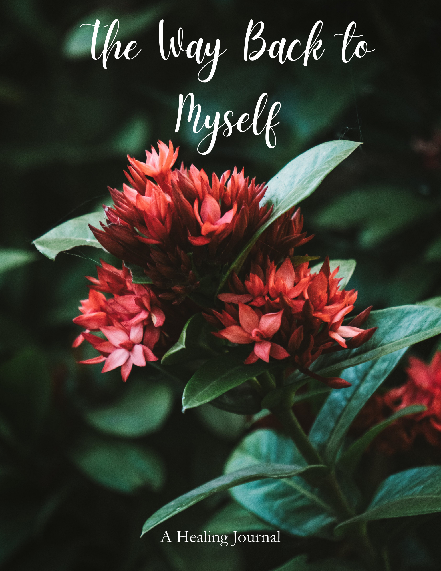 The Way Back to Myself - A Healing Journal